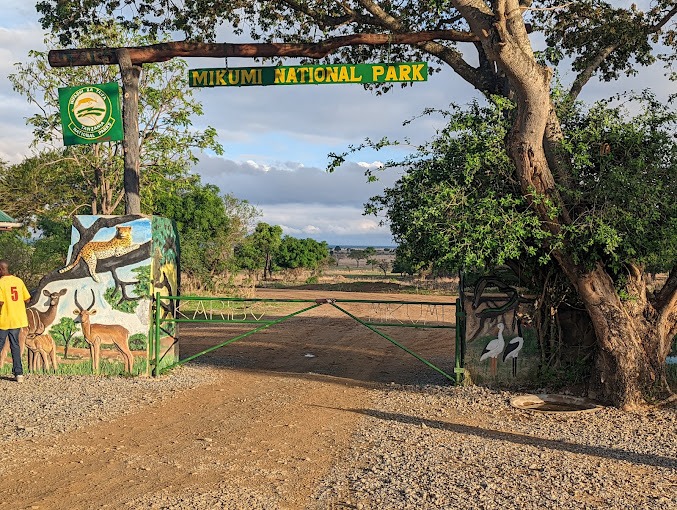 Mikumi National Park Fly-In Safari — photo 2