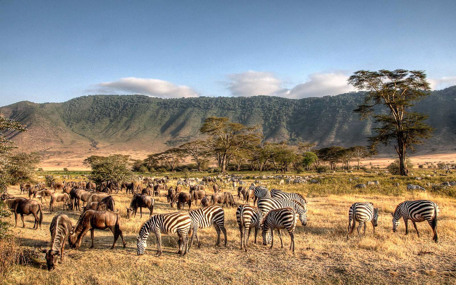 3-Day Tanzania Safari Itinerary