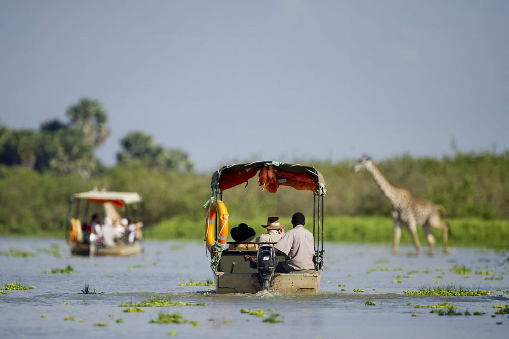 Nyerere National Park Fly-In Safari