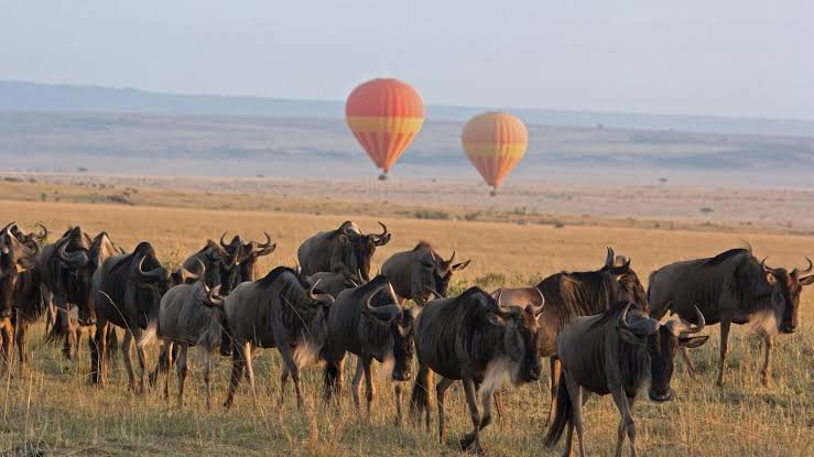 In Search of the Great Migration