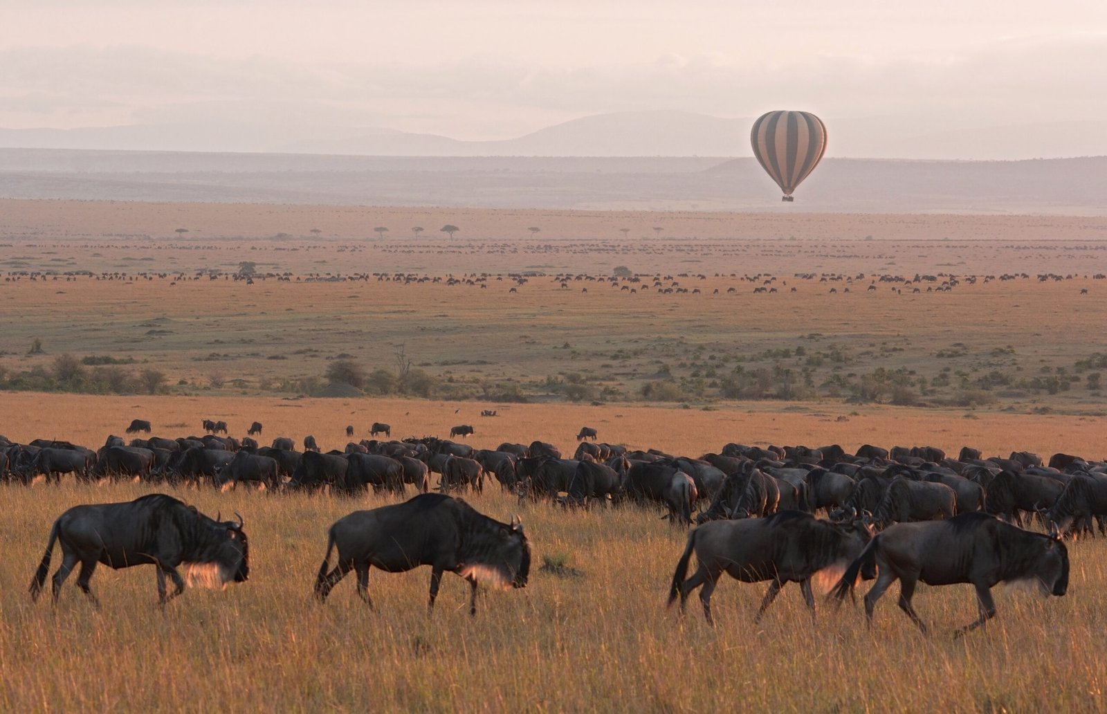 Serengeti-National-Park