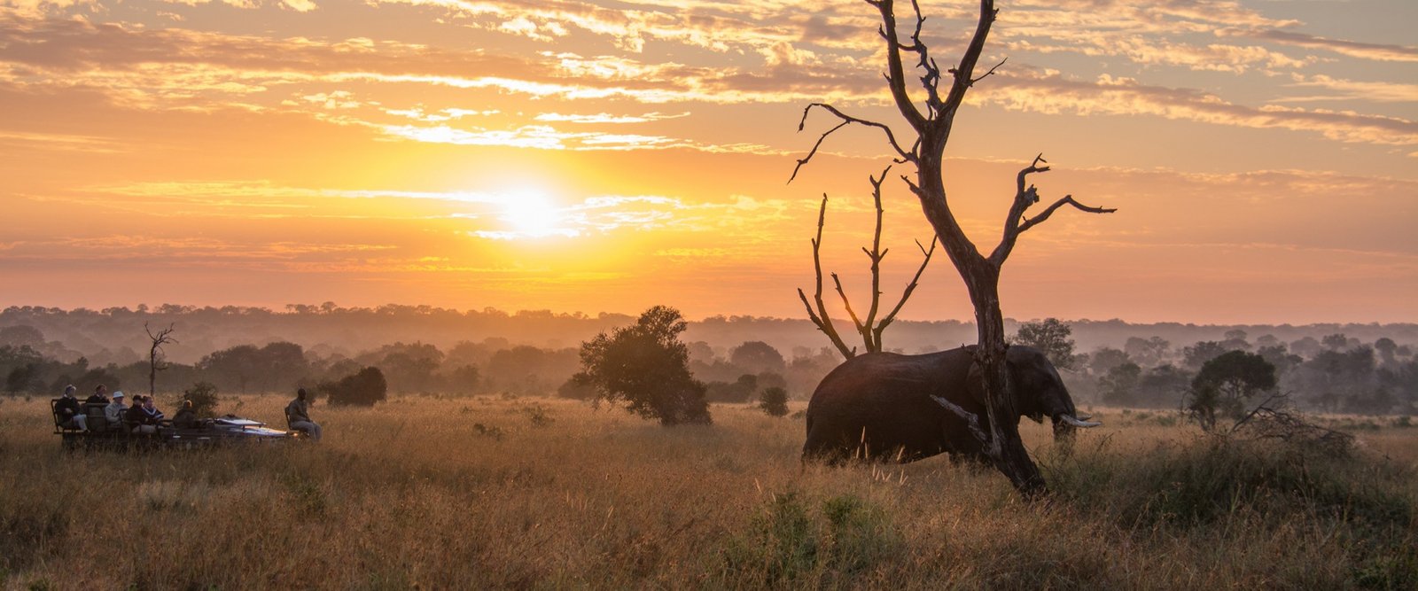 Sunrise Game Drive & Departure