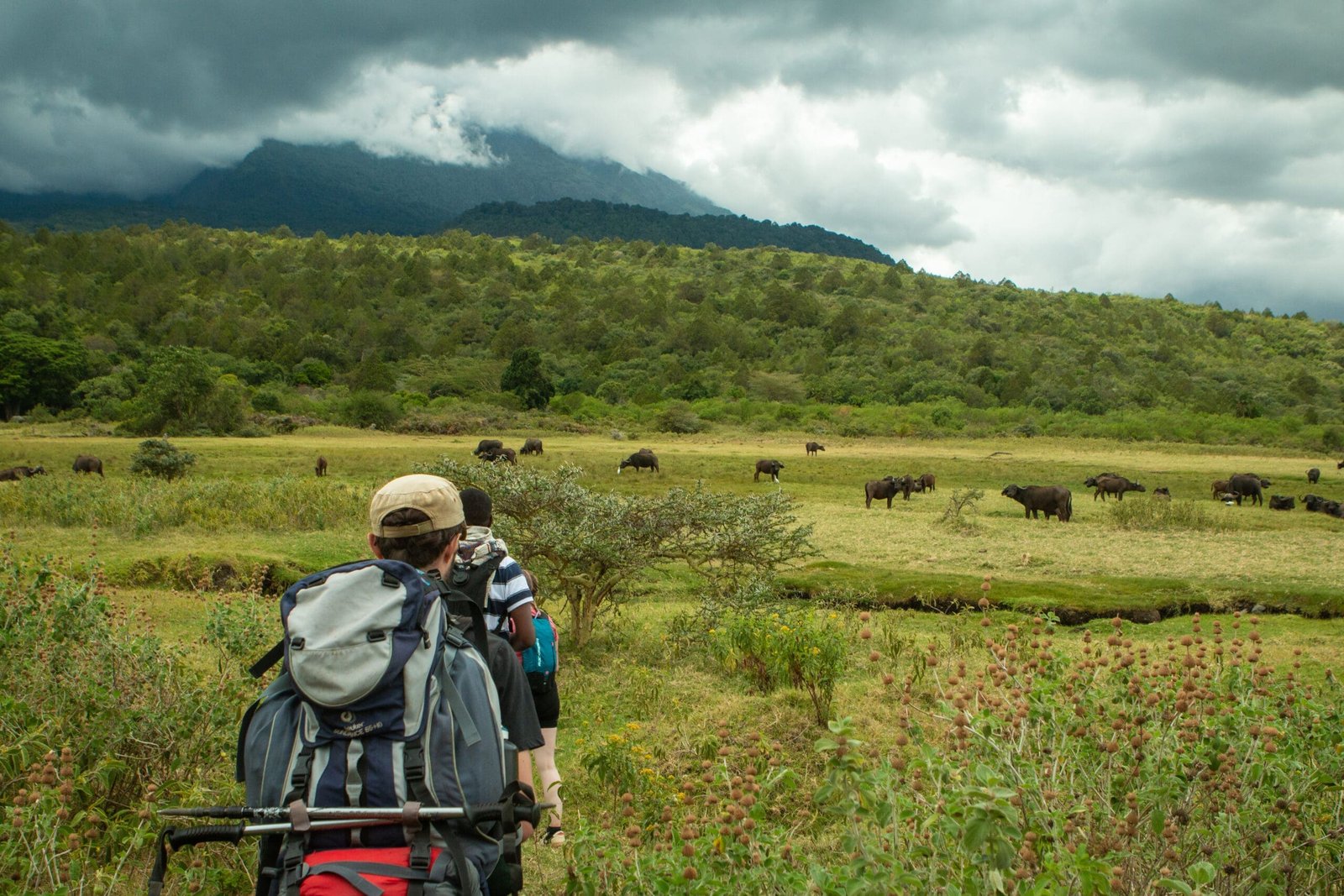 Walking Safari Beneath Mount Meru