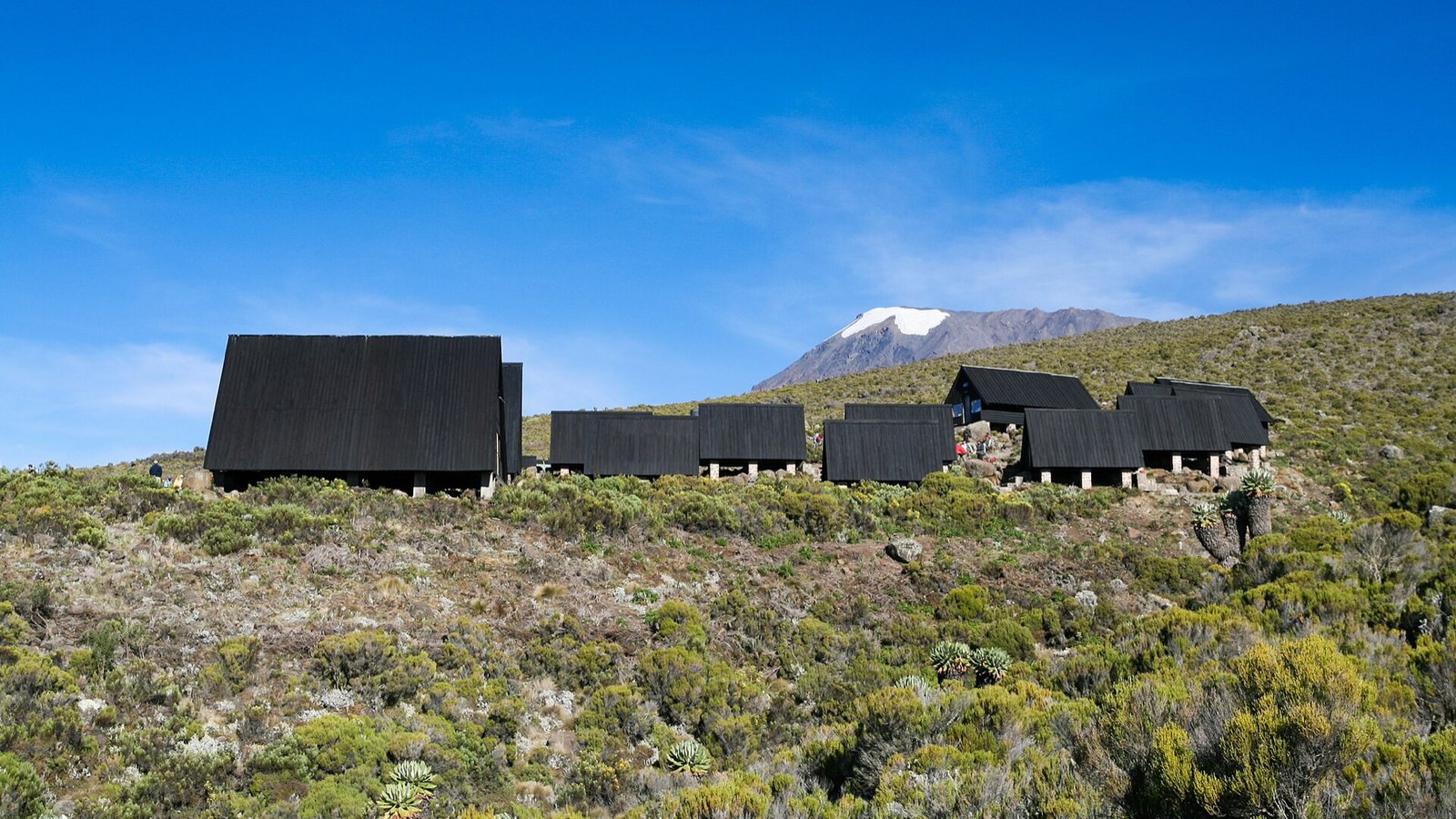 marangu