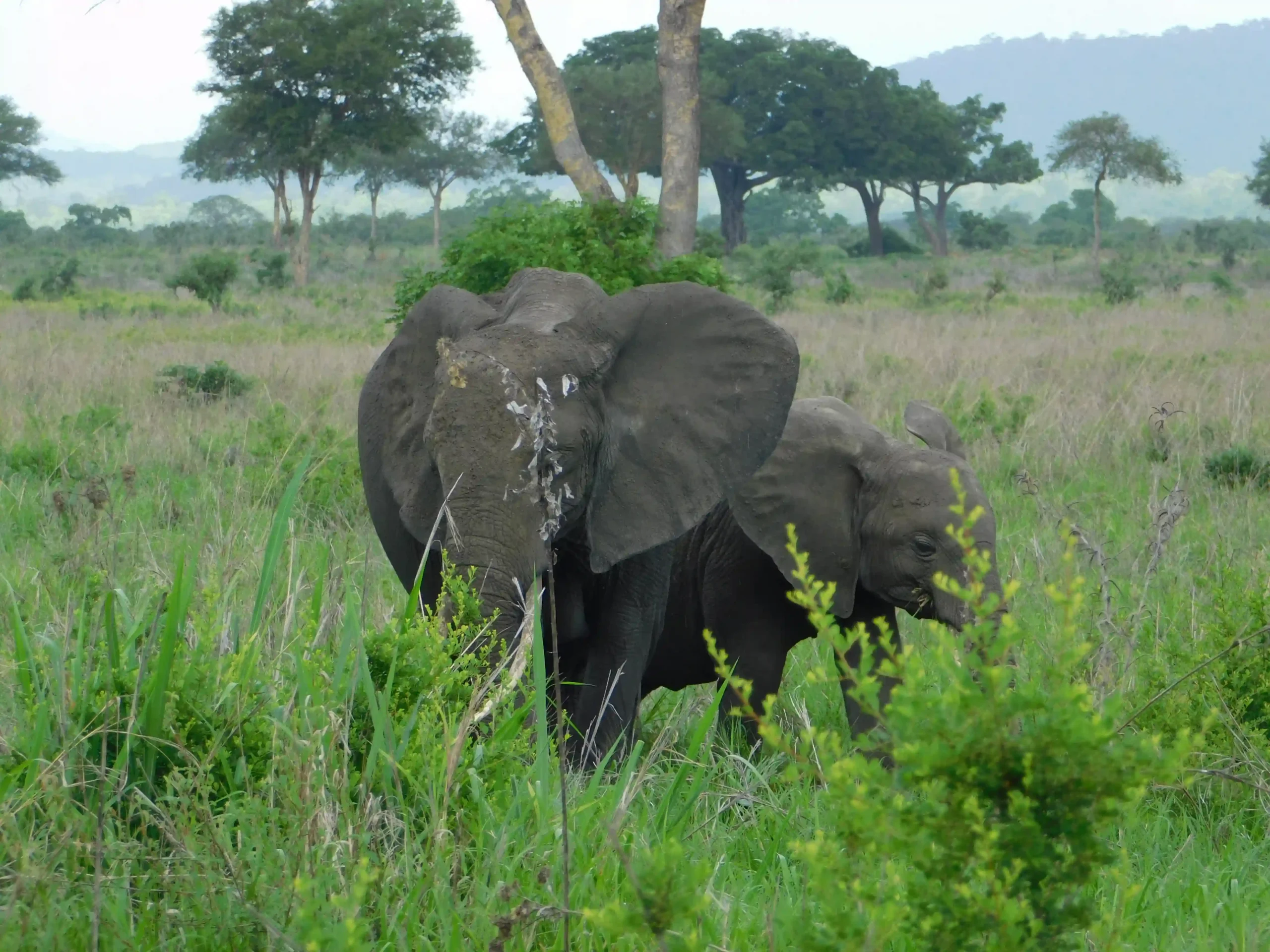marhaba-escape-safari (22)