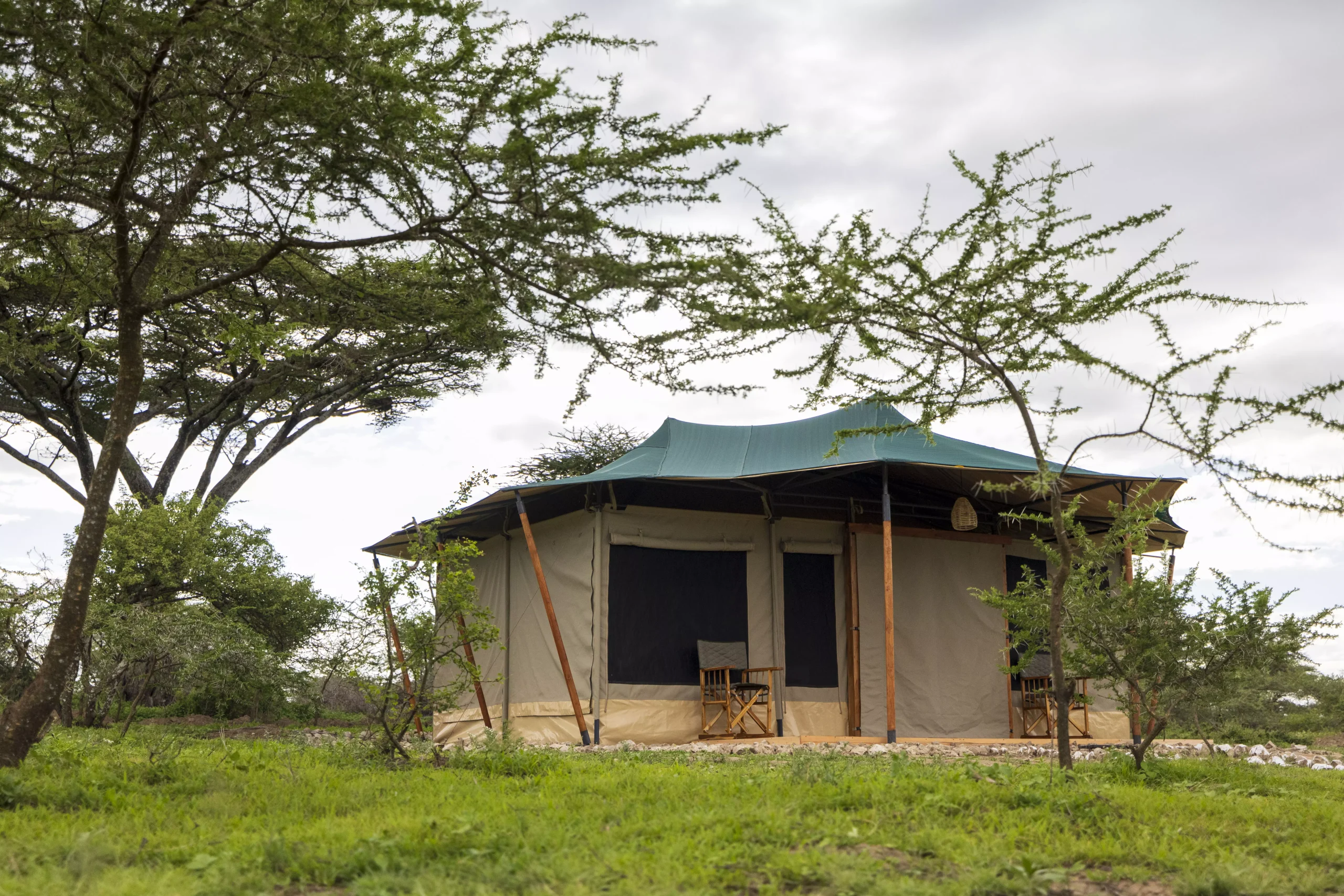 ndutu-serengeti-safari-haven-40-1-scaled