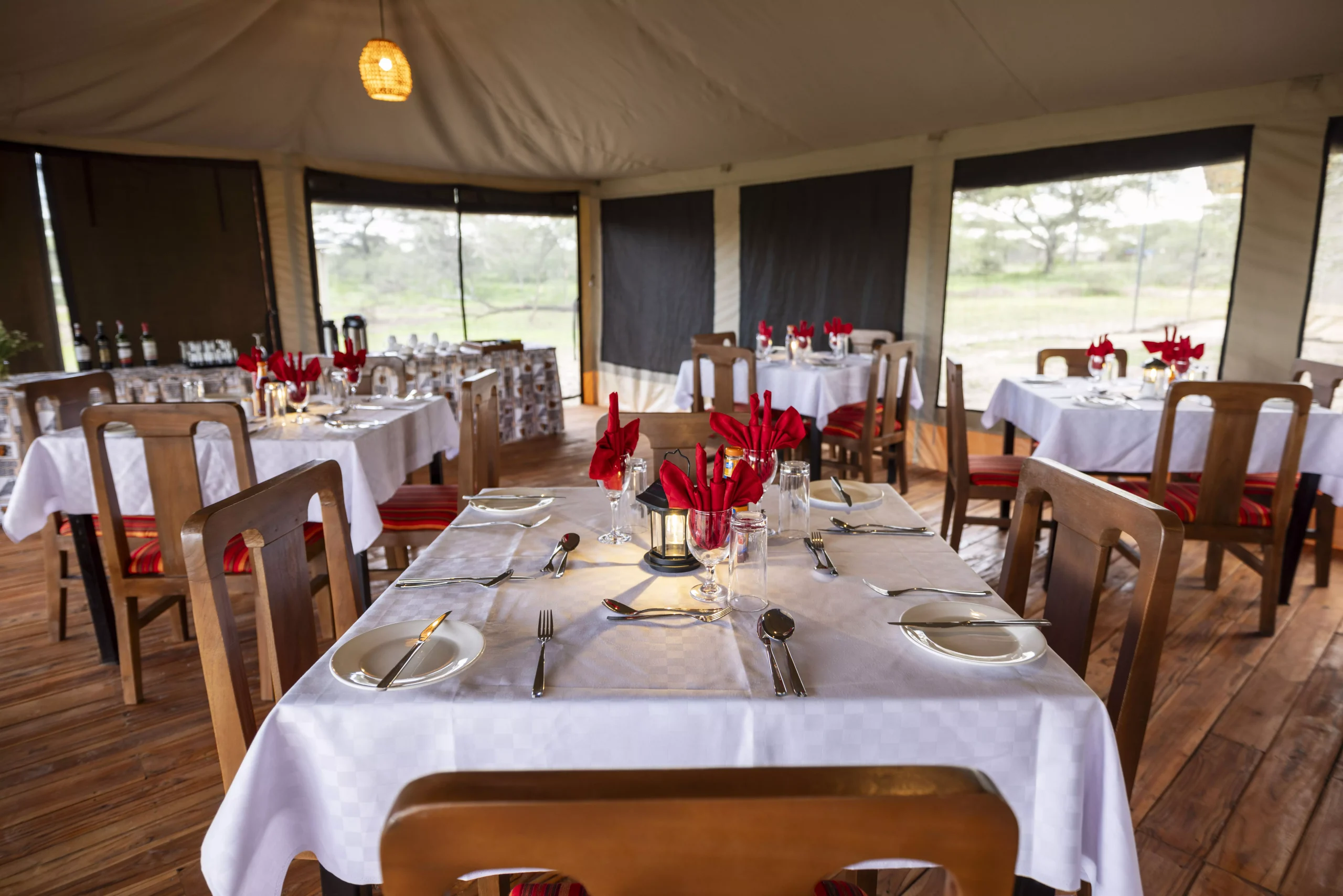 ndutu-serengeti-safari-haven-66-scaled