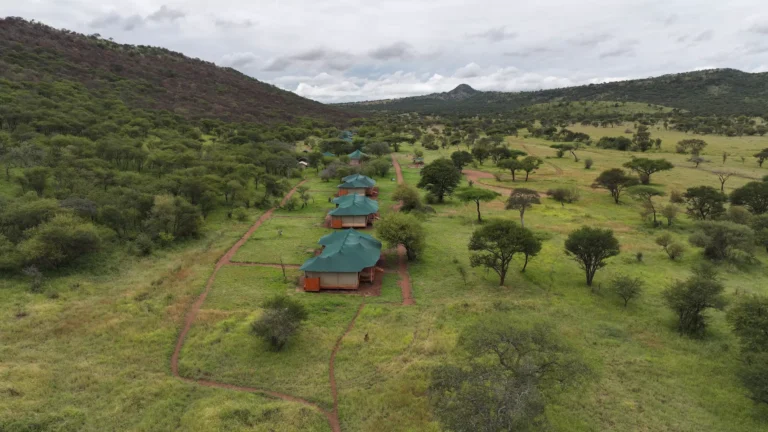 serengeti-safari-haven-86