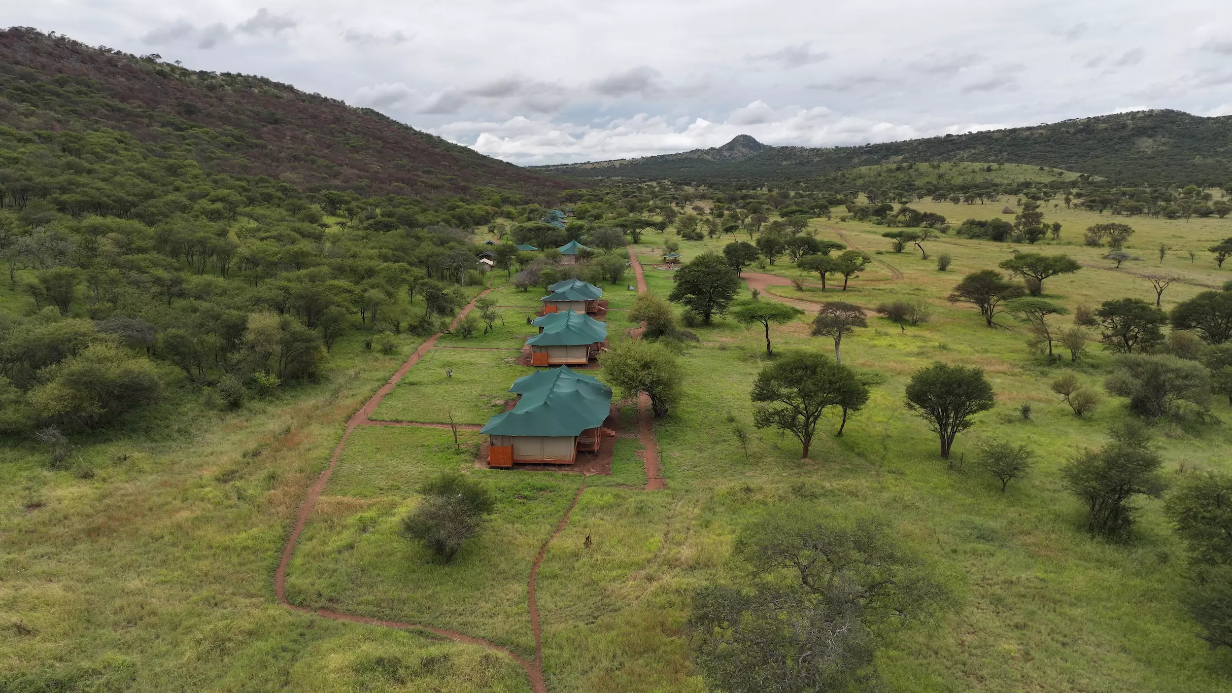 serengeti-safari-haven-86