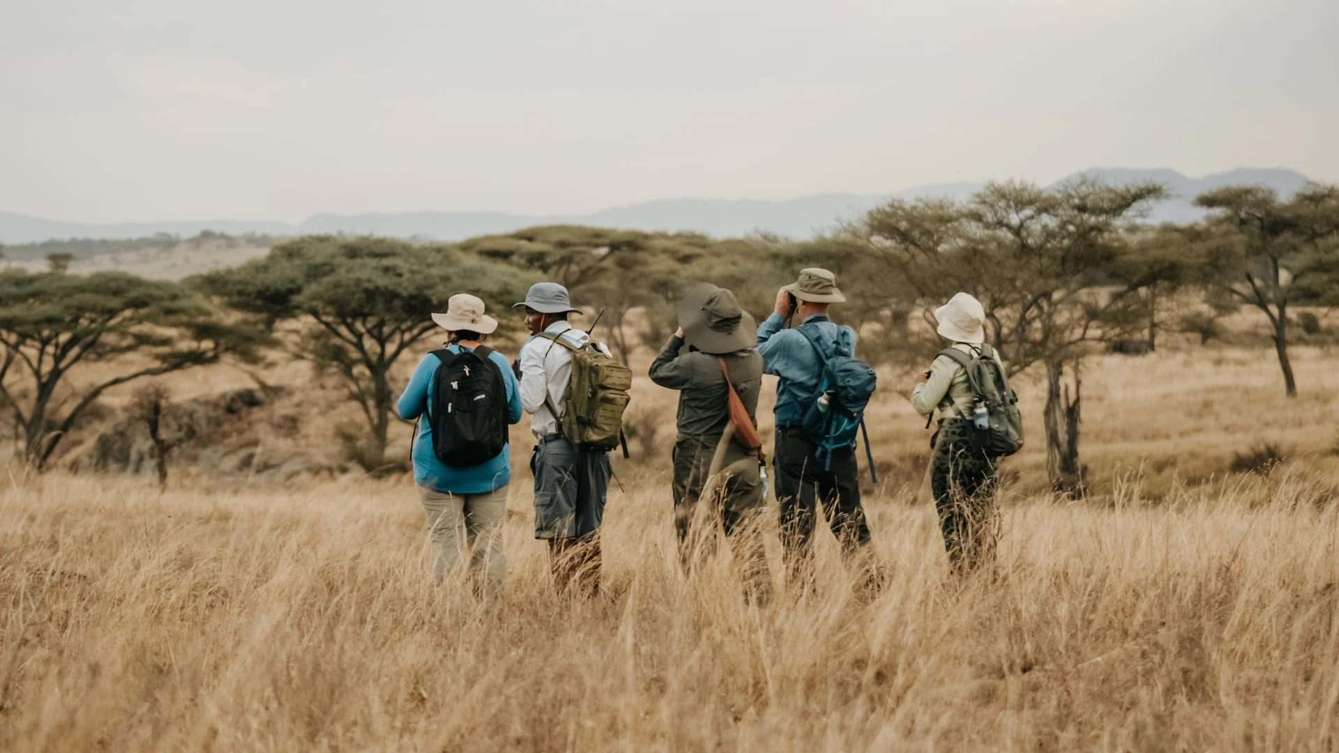 walking-safaris