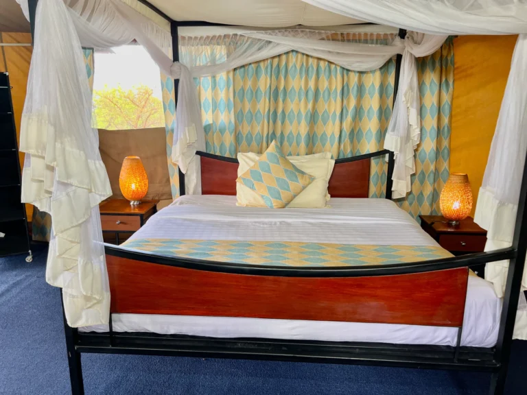 Ngorongoro-wild-camp