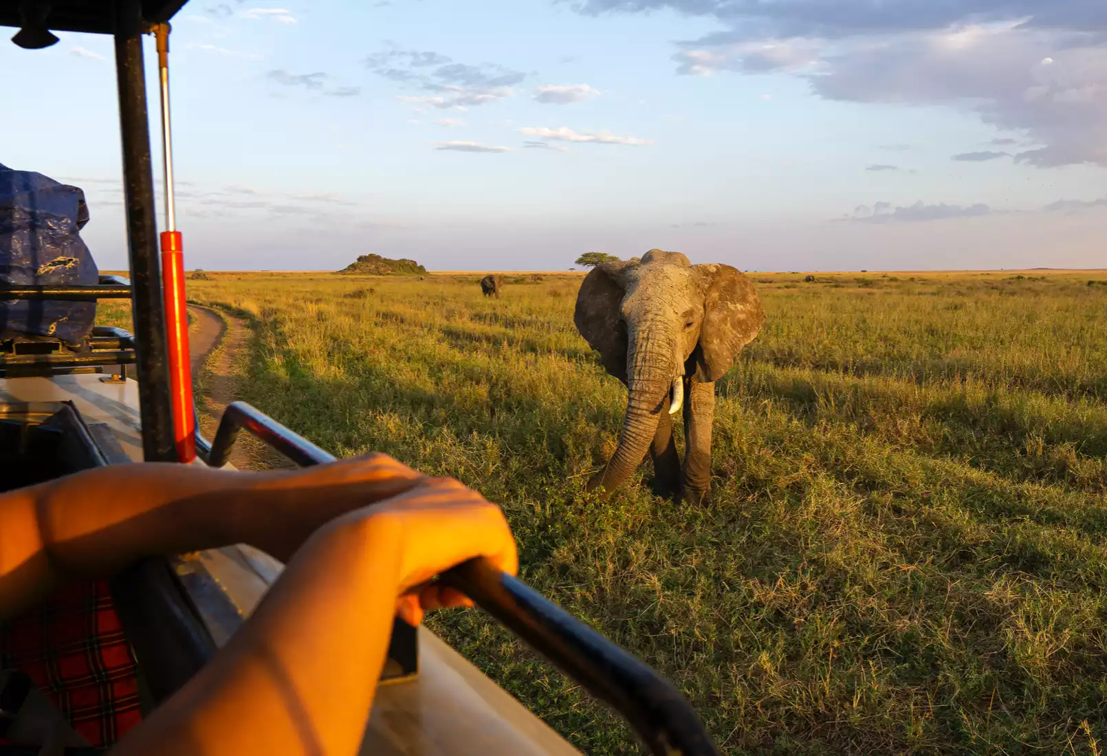 Tarangire National Park - Left Image-1