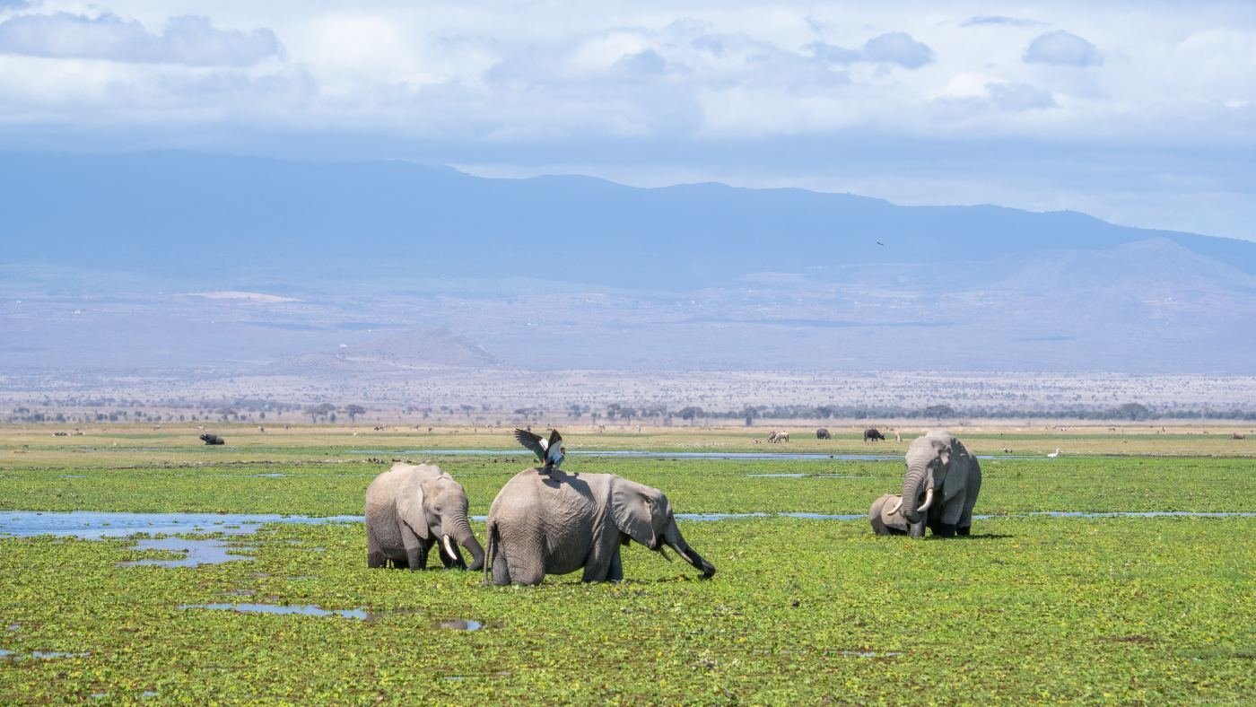 ngorongoro-crater-view