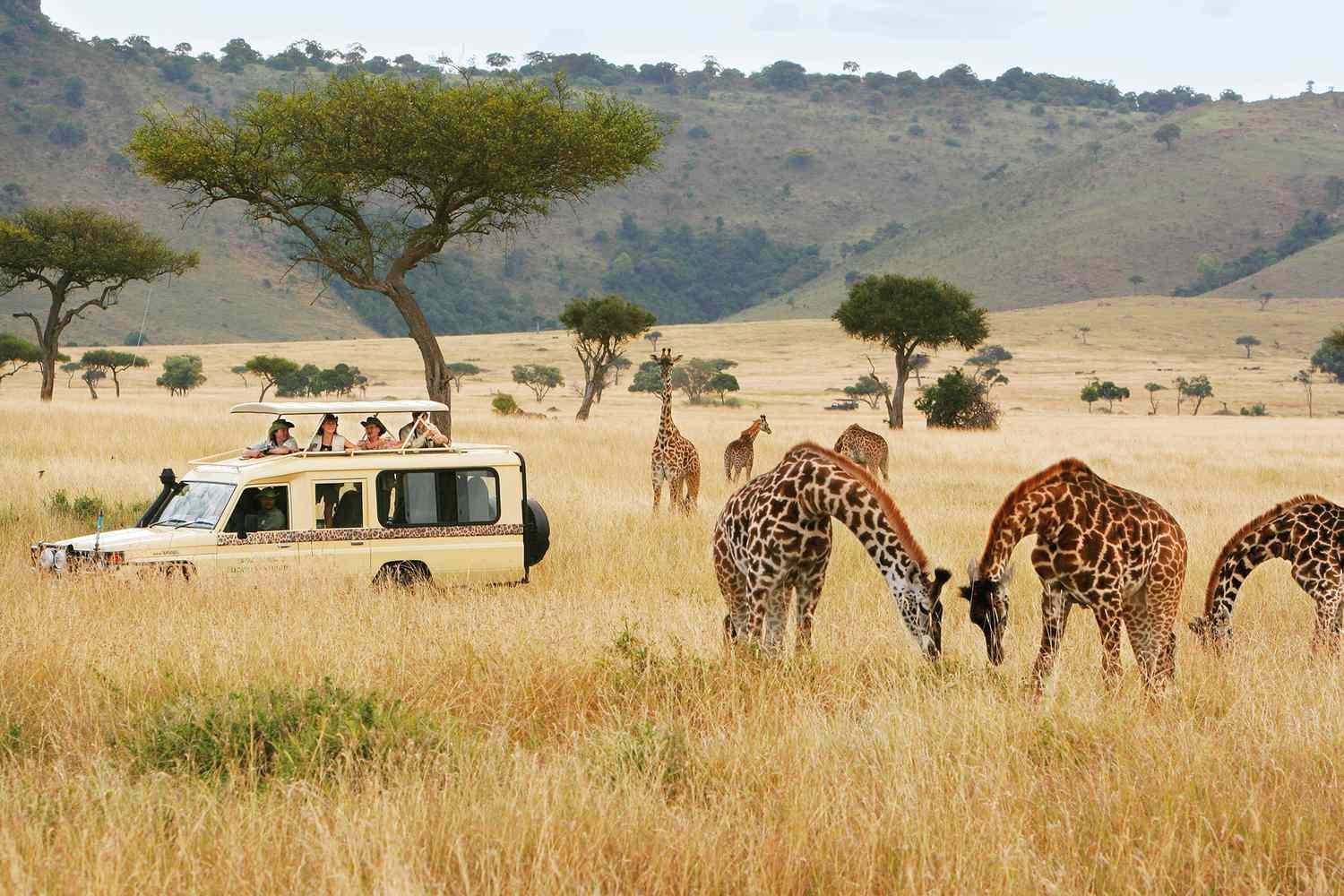tours-holiday-safari