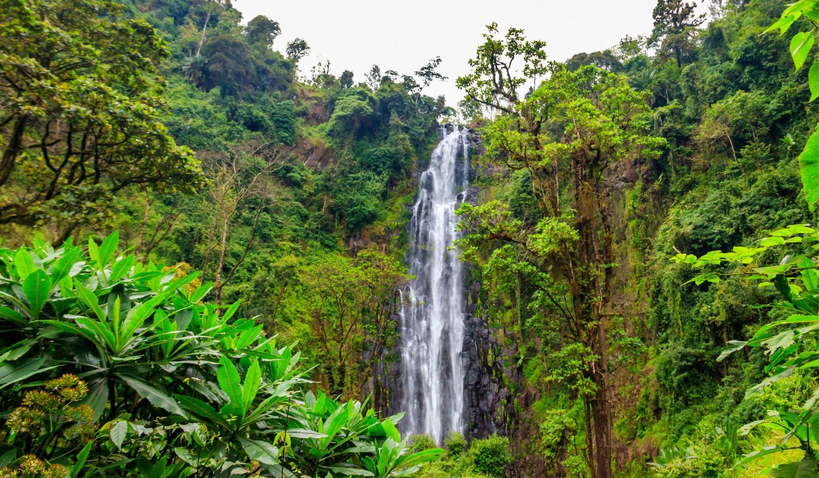-waterfall-2