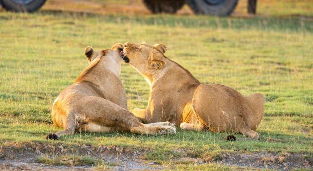 5-Reasons-Why-You-Should-Visit-Arusha-National-Park