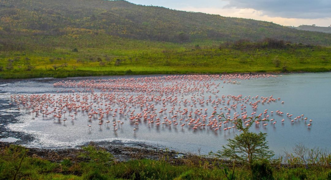 Arusha_National_Park