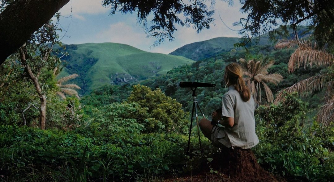 Gombe-Stream-National-Park-1