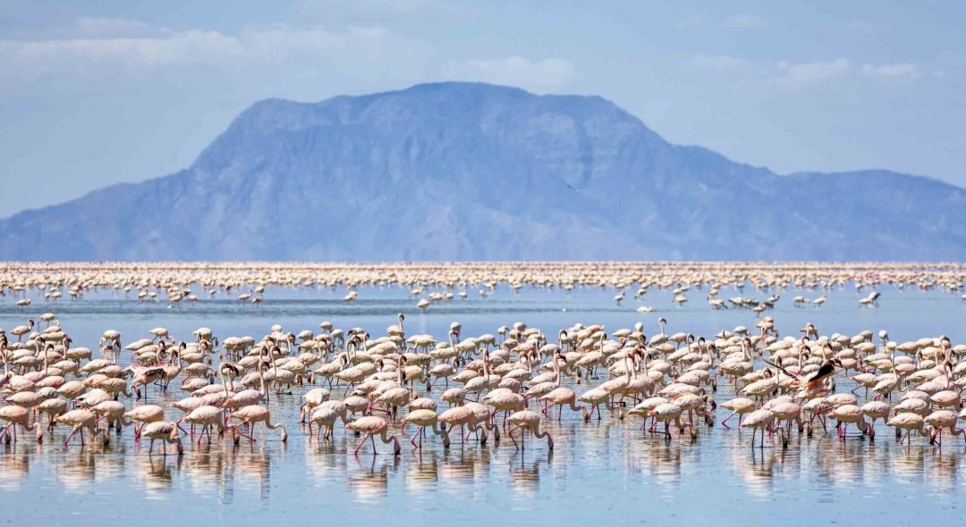 Lake-Natron-Tanzania-