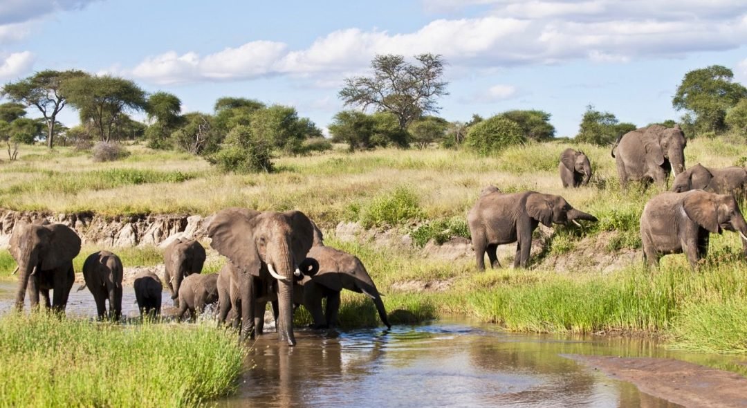 Tarangire-National-Park