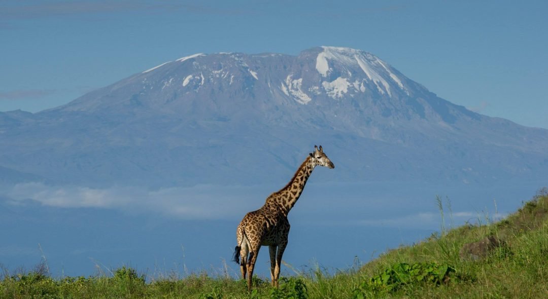 Wayo-Africa-Game-Drive-Arusha-National