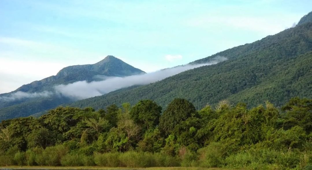 gombe-stream-national-park-