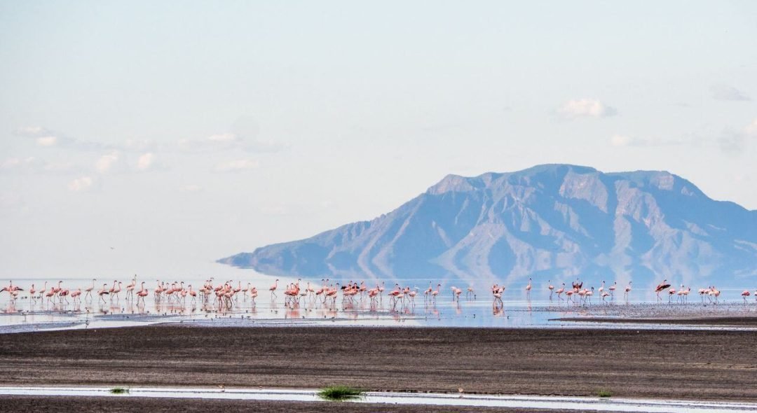 natron-National-Park