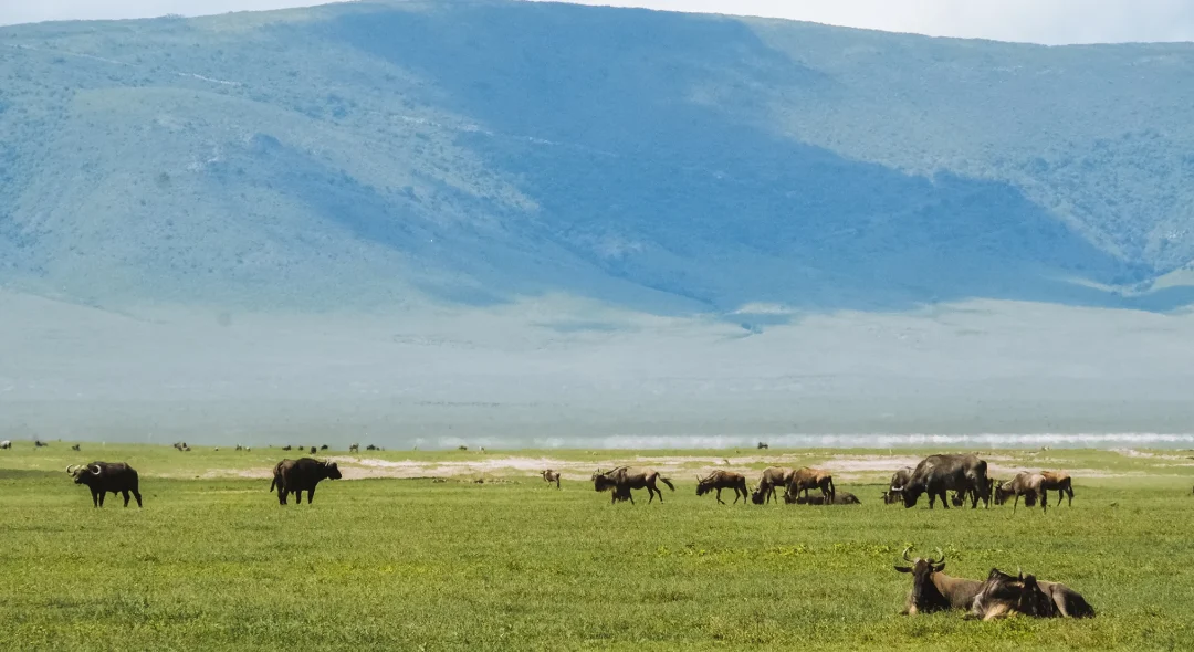 ngorongoro-crater-