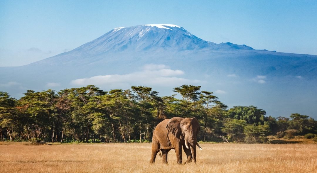 tanzania-mount-kilimanjaro
